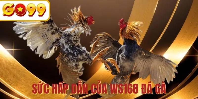 Điều khiến WS168 đá gà ăn khách nhất hiện nay