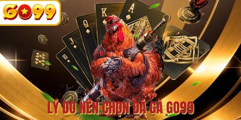 Sức hút tuyệt vời chỉ có trong đá gà GO99